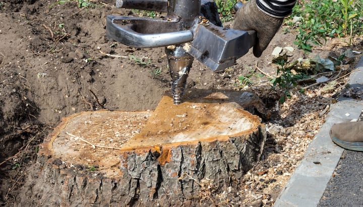 A close-up of a tree stump being removed with a stump grinder machine in Kalamazoo
